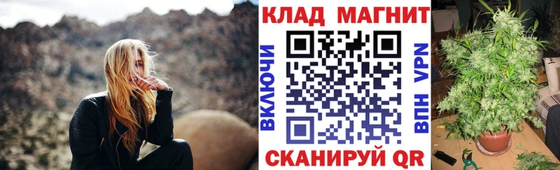 Магазины продажи наркотиков Новомосковск Метадон  Alpha PVP  МЕФ  КОКАИН 