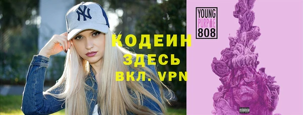 ешки Аркадак