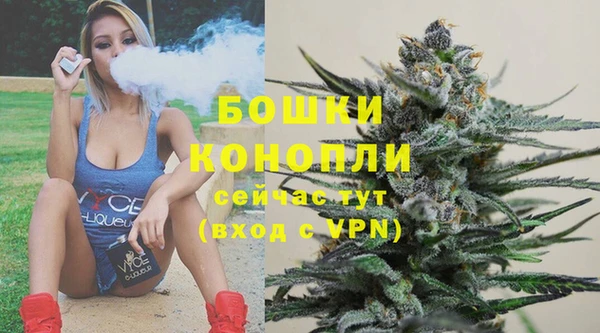 ешки Аркадак