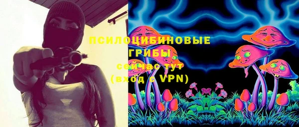 Альфа ПВП Армянск