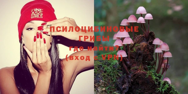 ешки Аркадак
