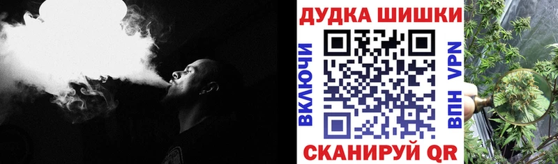 Бошки марихуана сатива  цена наркотик  Новомосковск 